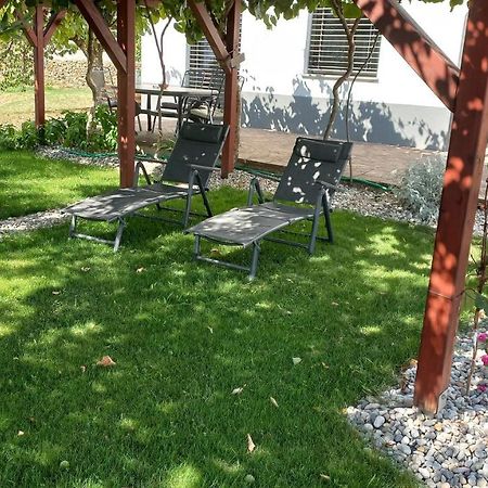 Apartma Nona Roza Zgornje Skofije Dış mekan fotoğraf