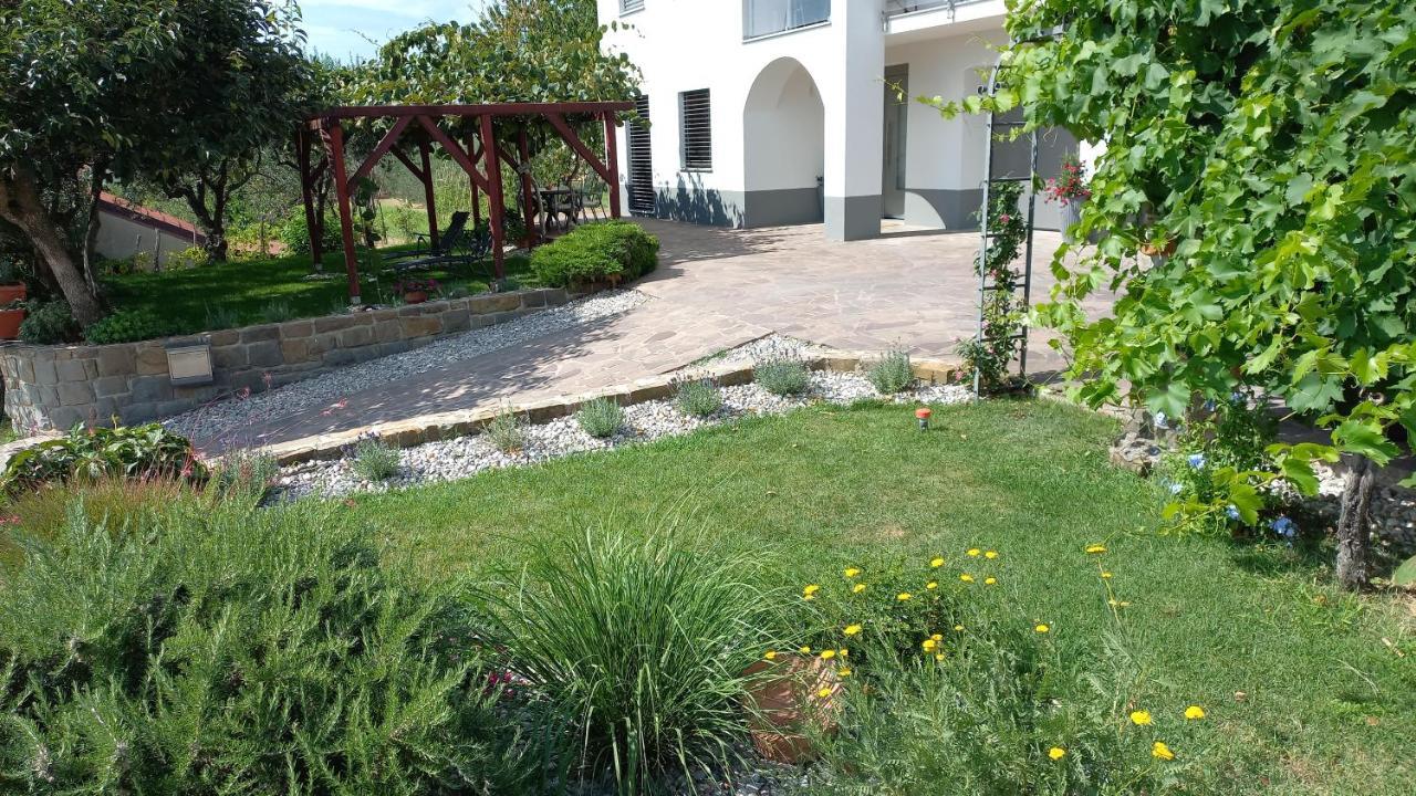 Apartma Nona Roza Zgornje Skofije Dış mekan fotoğraf